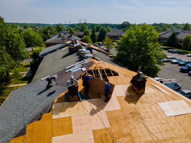 Best Roof Gutter Cleaning  in Springdale, NC