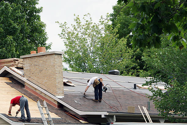 Best Flat Roof Repair Services  in Springdale, NC